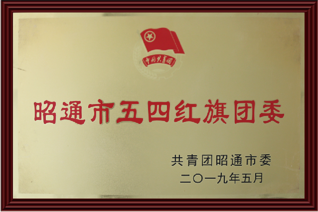 昭通市五四紅旗團委