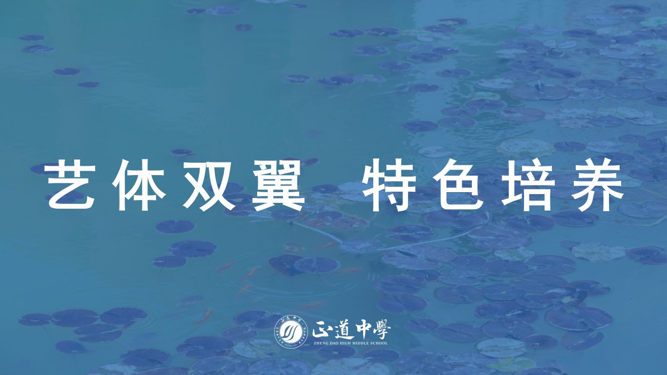 藝術、體育成績